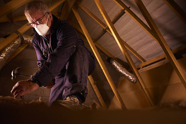 Best Eco-Friendly Insulation in Shiprock, NM